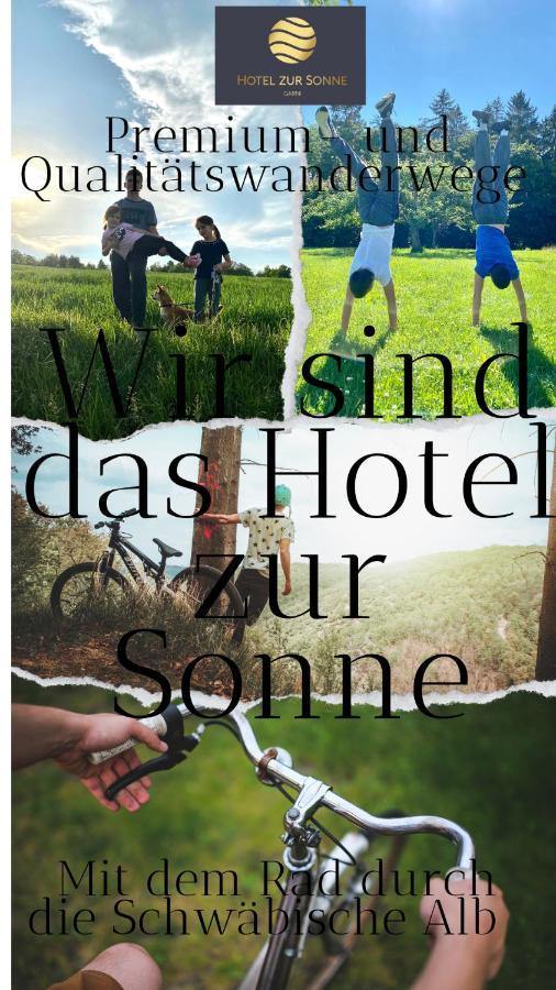 Hotel Zur Sonne Bodelshausen Dış mekan fotoğraf